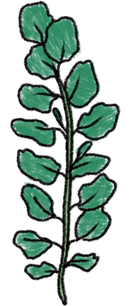 Metaforiskie attēli